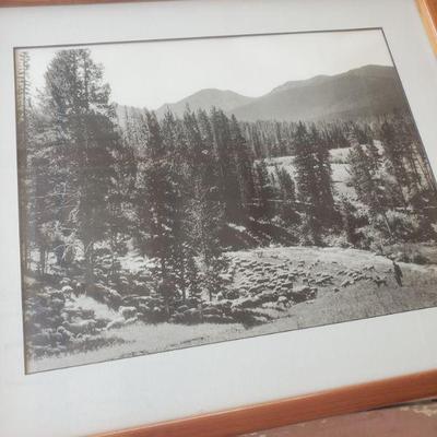 Ms. H’s Dad took these photos in Colorado. She handmade the frames for them. 100% European Cherry
18.5 x 15.5
