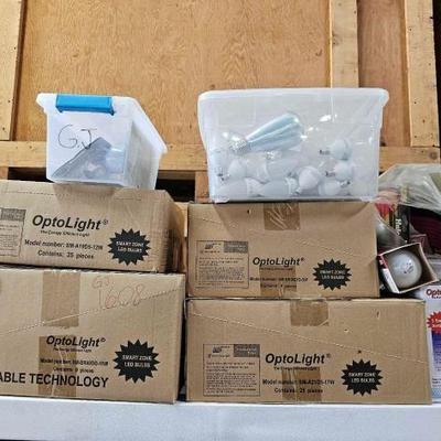 #1608 • 4 Cases of Lightbulbs and Totes of Loose Lightbulbs
