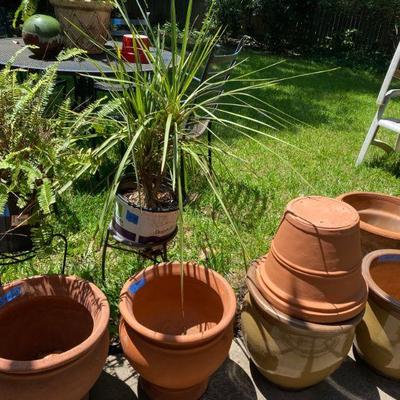 Assortment of Pots and Planters