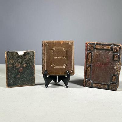 (3PC) SET OF ANTIQUE BOOKS | including an 1895 almanac with Henry Boutet engravings and hand-colored female figures, a book of sea miss...