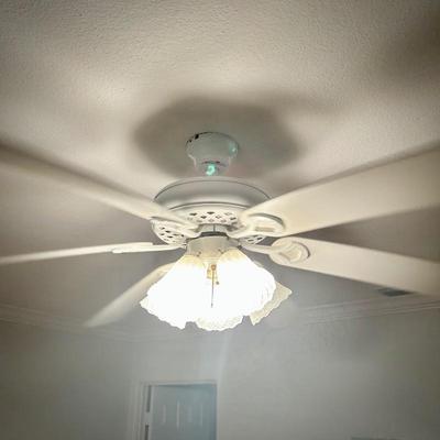 All ceiling fans in house