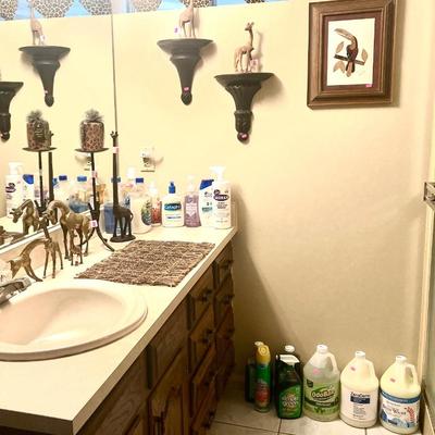 Bathroom safari theme decor and cleaning essentials

