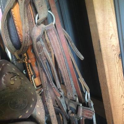 Old saddles and bridles