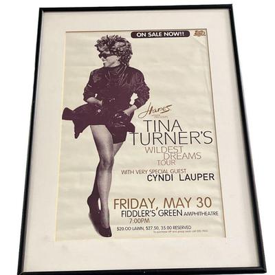 TINA TURNER "Wildest Dreams" Tour, Fiddler's Green Amphitheatre Concert Poster
