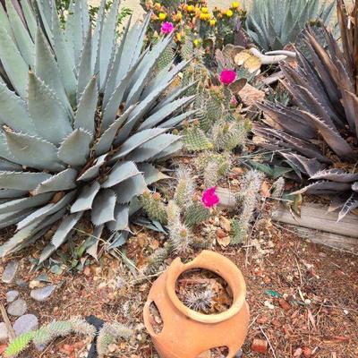 Yard sale photo in Albuquerque, NM