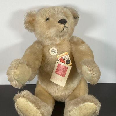 Steiff Bear - 0158/50 0 20"
