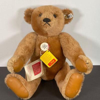 Steiff Bear - 0156/42 - 15