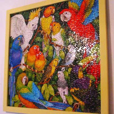 Large Parrot Vibrant Framed Puzzle
