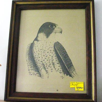 Vintage Falcon Lithograph