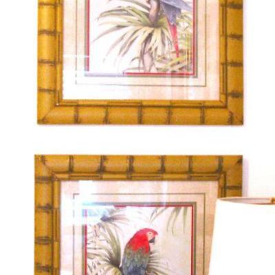 Large Macaw Parrot Framed Art