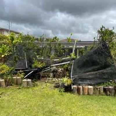 PPE222- Mystery Shade House Lot
