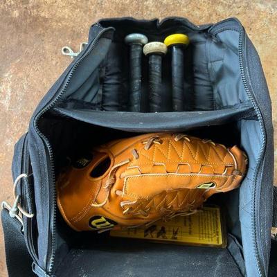 PPE220- Wilson A2000 Baseball Glove & Soft Ball Bats 