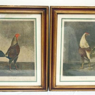 1139	PAIR OF ANTIQUE FRAMED ENGRAVINGS OF BIRDS NAVEL WAR & PEACE, PUBLISHED BY W.C. LEE, EACH APPROXIMATELY 25 IN X 28 1/2 IN OVERALL,...