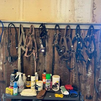 Horse Tack