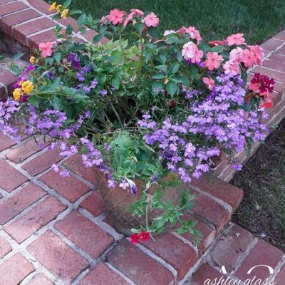 Planter with plants