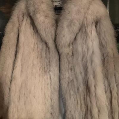 How about a Fox fur for next winter?