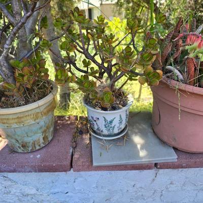 Yard sale photo in Oceanside, CA