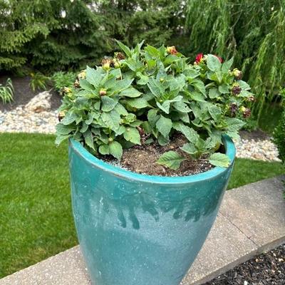 Garden Planter