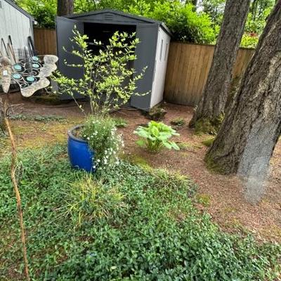 Yard sale photo in Lake Oswego, OR