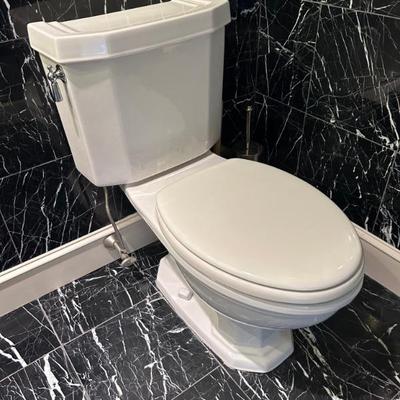 Toto or Kohler toilet