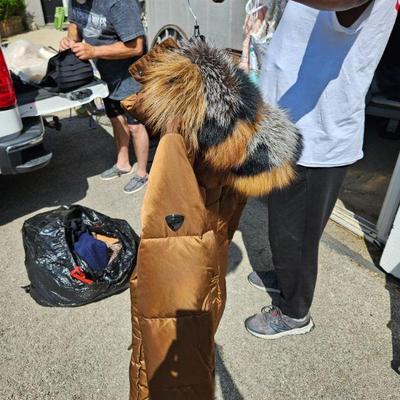 Yard sale photo in Saint Charles, IL