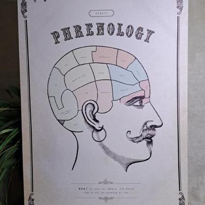 Fun Pirate Phrenology Canvas On Stretcher Frame 20 X 28