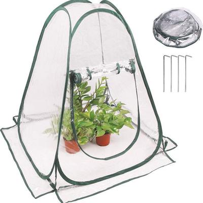 POP-UP GREENHOUSE | Pop-up and collapsible plastic greenhouse. - l. 27 x w. 27 x h. 31 in

