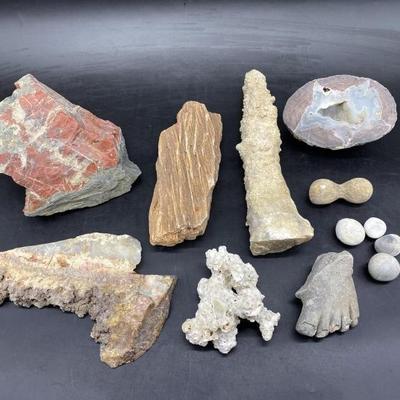 Jasper, Geode, Petrified Wood, Coral, Flint, etc.