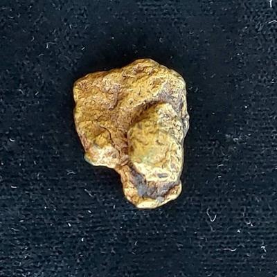 Alaskan Gold Nugget