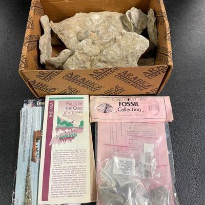 Fossils