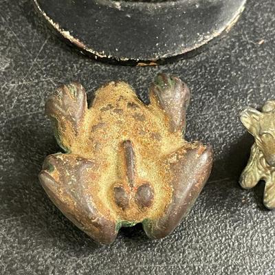 Frog parts