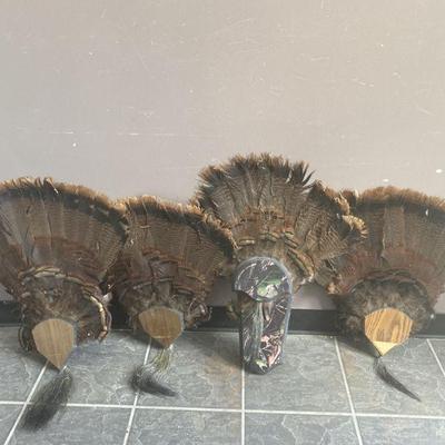 Lot 260 | Lot Of Mounted Turkey Feathers
