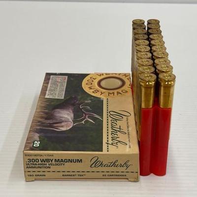 #1462 • 20 Rounds of .300 Mag Ammo
