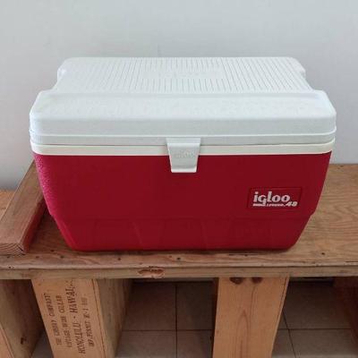 MPS151- IGLOO LEGEND 48 COOLER