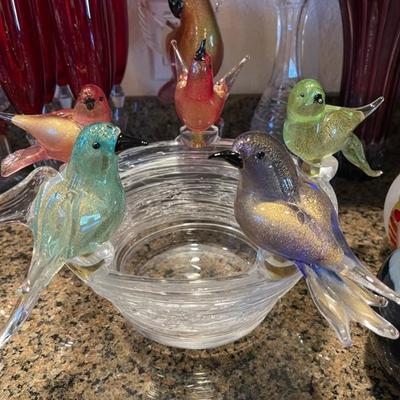 Bird bowl AMAZING 