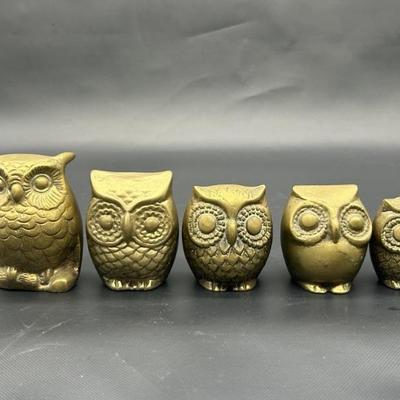 (5) Vintage Brass Owl Figurines