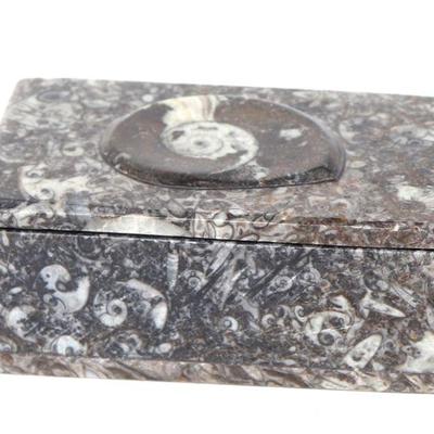 Fossilized Ammonite Jewelry Box