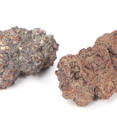 Group of Fossilized Coprolite, Dinosaur Dung