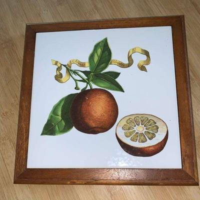 KKV129 Printed Aranzo Silvestre Art
