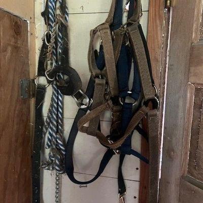 Horse Halters