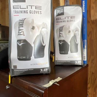 Everlast Elite Boxing Training Gloves