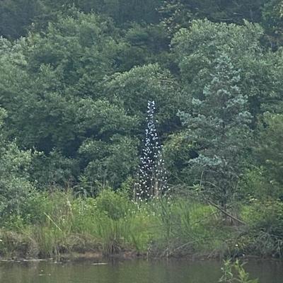 Estate Sales By Olga in Bedminster NJ 2024