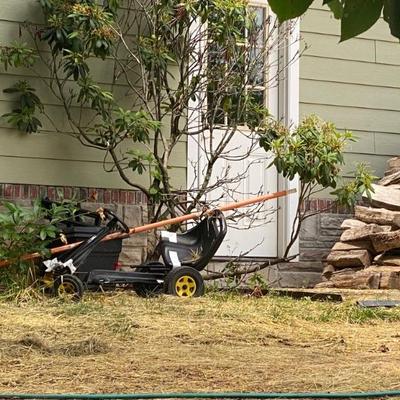 Estate Sales By Olga in Bedminster NJ 2024