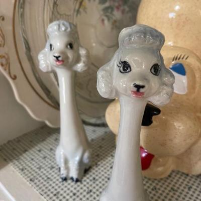 Poodles 