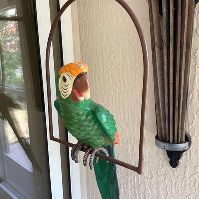 Large signed parrots