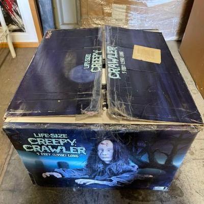 #4210 • Life-Size Creepy Crawler
