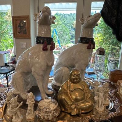 Regency Hollywood dogs
