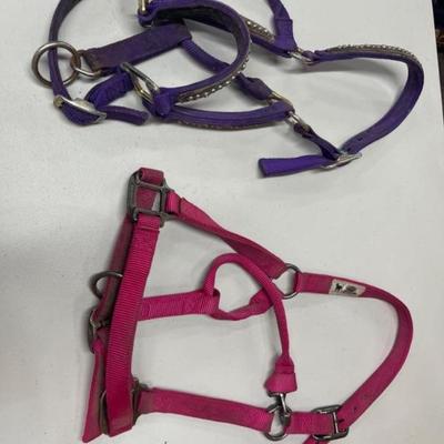 Weaver Western Halter and Lead Duo