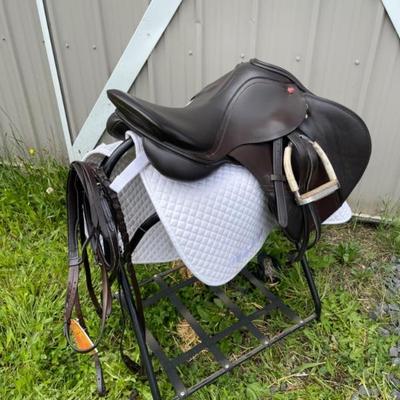 16.5 Albion Equestrian Saddle With Garantie Karte Bitte/Saddle Blanket