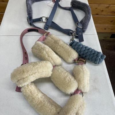 Travel Halter Pad and Lead Rope